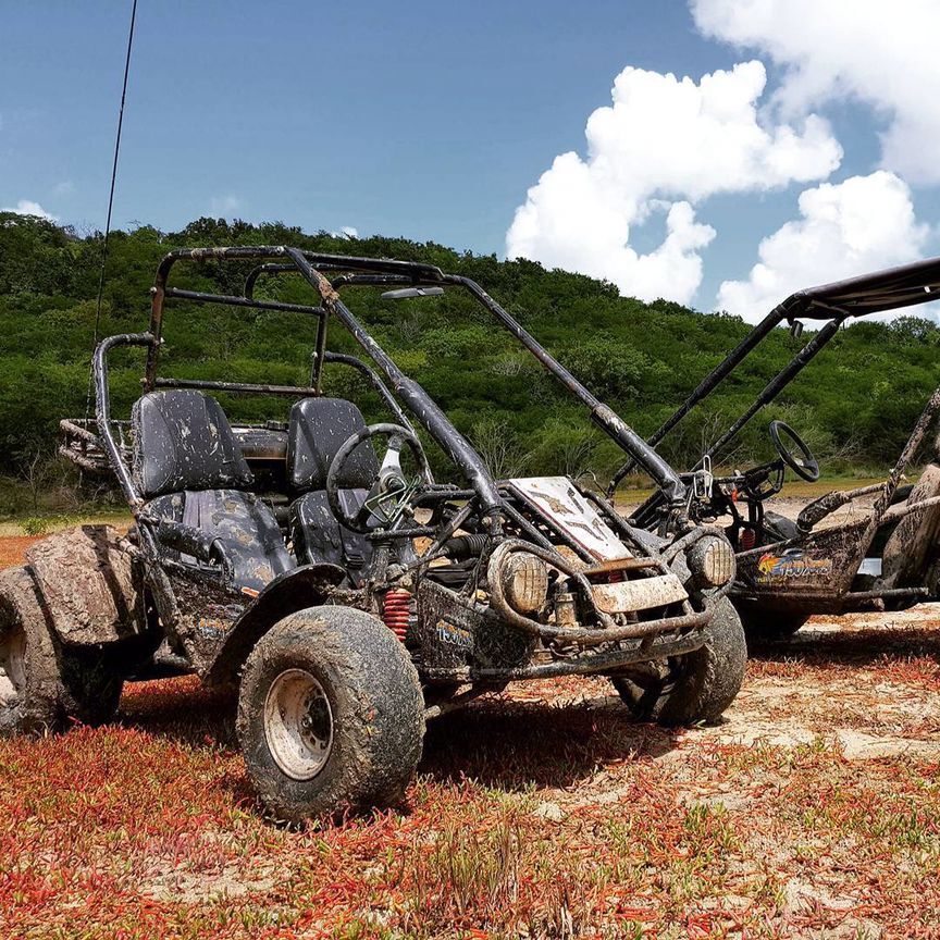 Fora da estrada vai Kart